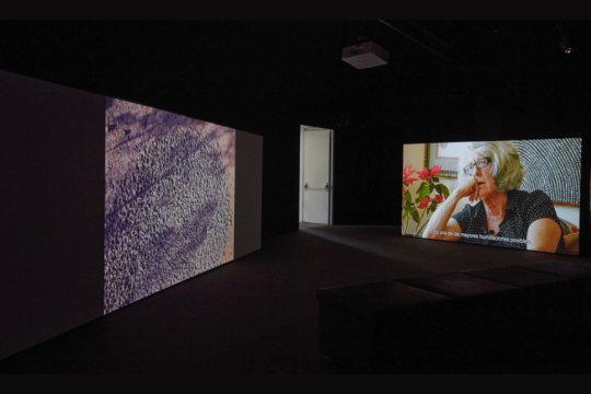 Angela Melitopoulos «Cine(so)matrix»